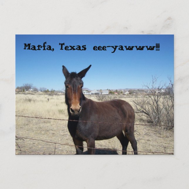 Marfa, Texas, eee-yawww!! Vykort (Framsida)