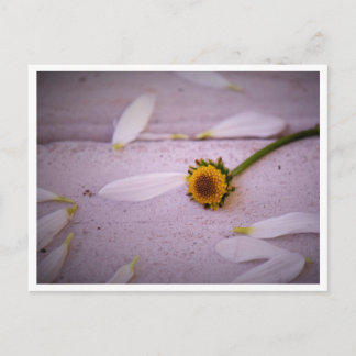 "Margaret sa: JA!" vykort