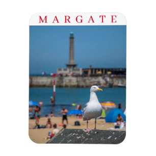 Margate fiskmås kylskåp magnet