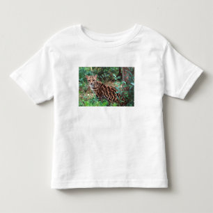 Margay, Leopardus wiedi, Ursprunglig för Mexiko ti T-shirt