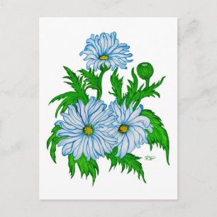 Margeriten Blume Vykort