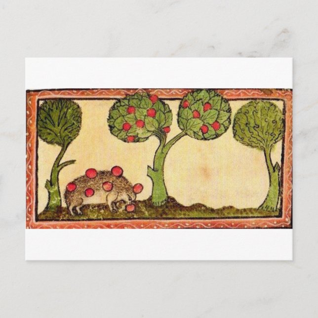 Marginalia Hedgehog Vykort (Framsida)