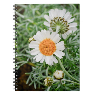 Marguerite Anteckningsbok Med Spiral