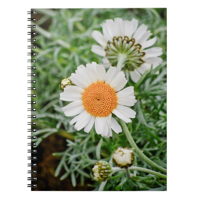 Marguerite Anteckningsbok Med Spiral (Framsidan)