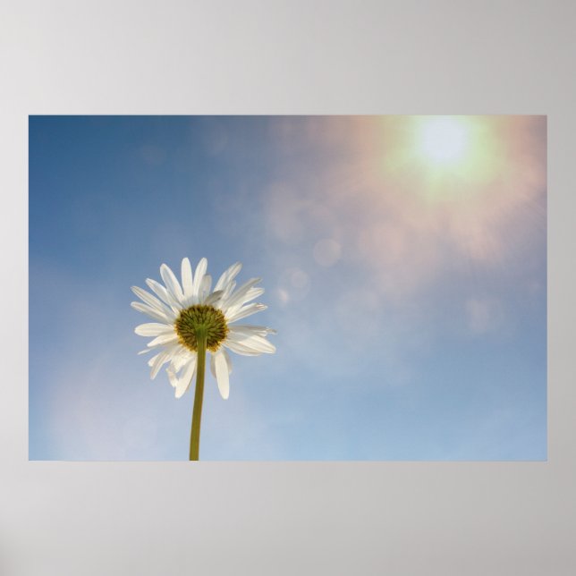 Marguerite - poster (Framsidan)