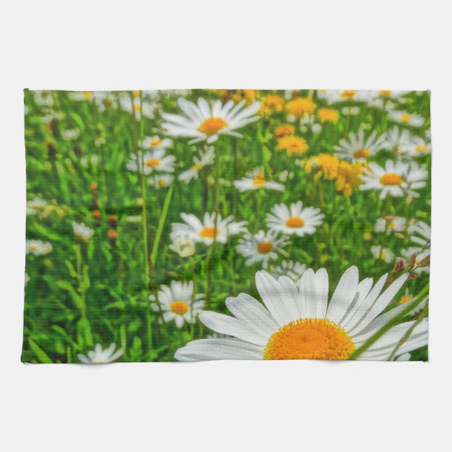 margueritefält i vår kökshandduk (Horisontell)