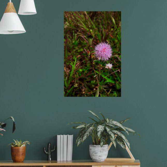 Maria-fecha-a-porta 1 poster (Vardagsrum 1)