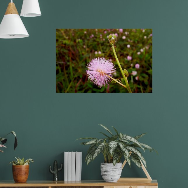 Maria-fecha-a-porta 2 poster (Vardagsrum 1)