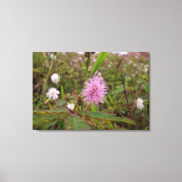 Maria fecha a porta  - Campo Canvastryck