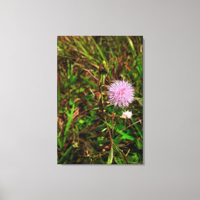 Maria-fecha-a-porta Canvastryck (Framsida)