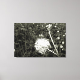 Maria fecha a porta  - Com Broto Canvastryck