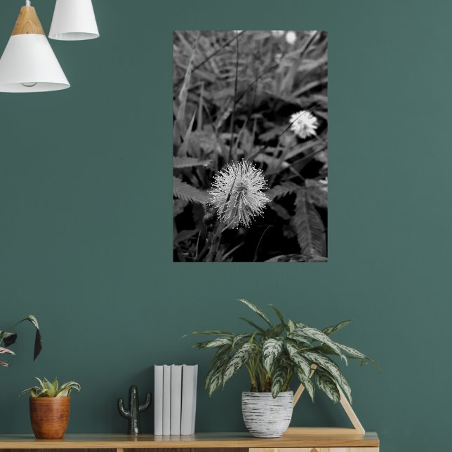 Maria-fecha-a-porta CONTRASTE Poster (Vardagsrum 1)