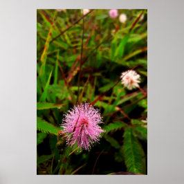 Maria-fecha-a-porta - intenso poster