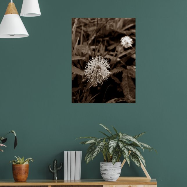 Maria-fecha-a-porta old poster (Vardagsrum 1)