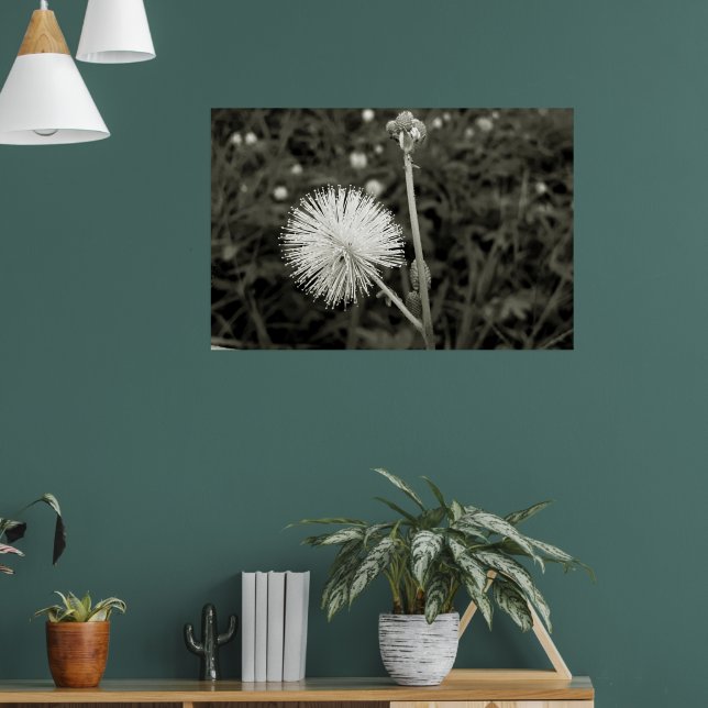 Maria-fecha-a-porta - p&b poster (Vardagsrum 1)