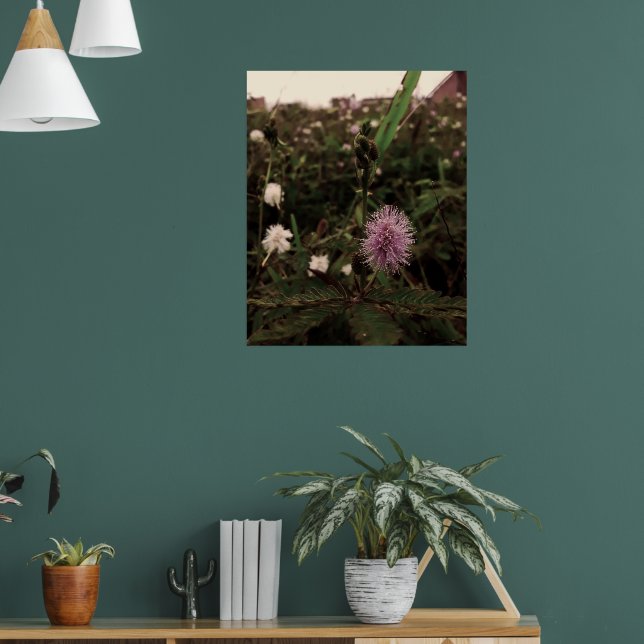 Maria-fecha-a-porta - ROSA Poster (Vardagsrum 1)