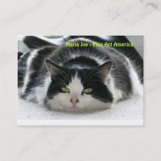 Maria glädje - konst Amerika. Visitkort