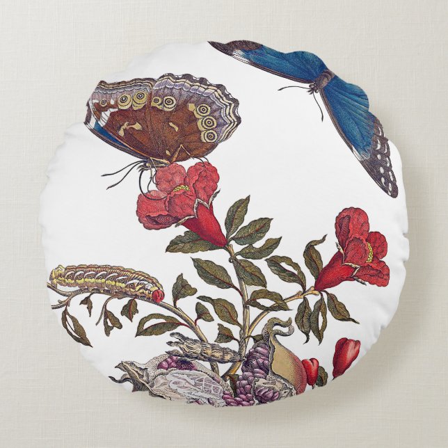 Maria Merian fjärilar dämpar Rund Kudde (Framsidan)