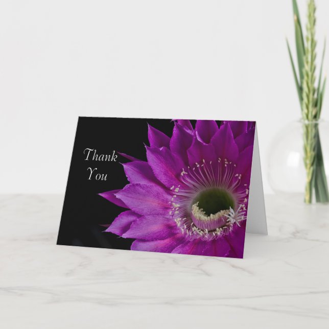 Maria Piazza cactus bloom Tack (Framsida)