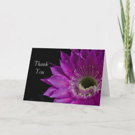 Maria Piazza cactus bloom Tack Kort