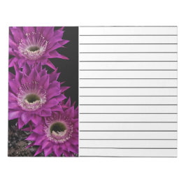 Maria Piazza till tredje Anteckningsblock