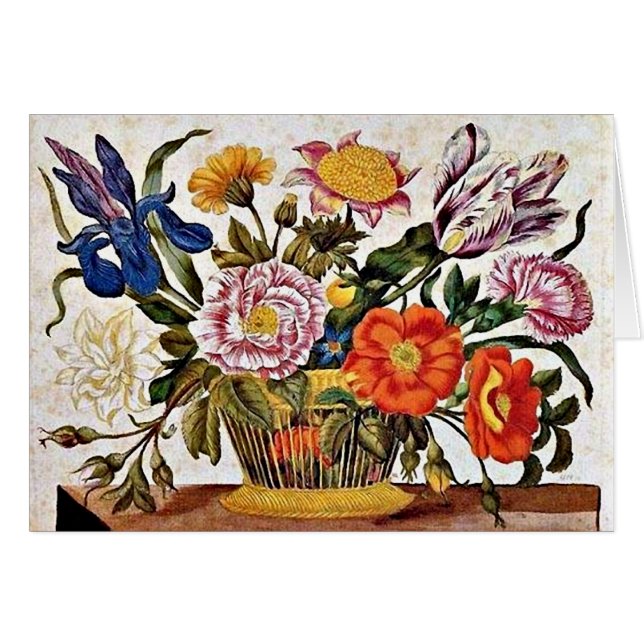 Maria Sibylla Merian - Från der Raupen Wunderbare Hälsningskort (Framsidan Horizontal)