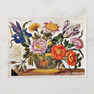 Maria Sibylla Merian - Från der Raupen Wunderbare Vykort