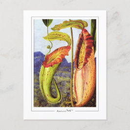 Marianne North #1 - vykort för konst