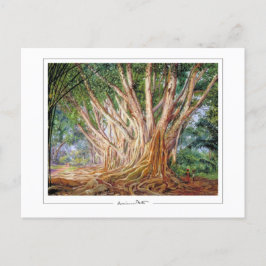 Marianne North #5 - Finkonstkort Vykort