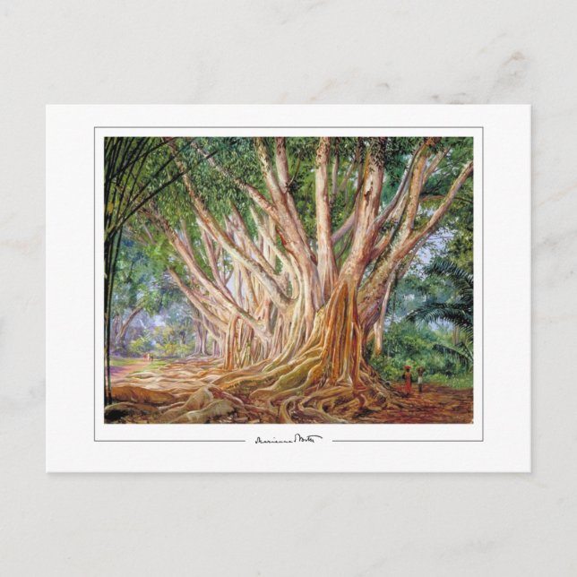 Marianne North #5 - Finkonstkort Vykort (Framsida)