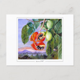 Marianne North #9 - Finkonstpostkort Vykort