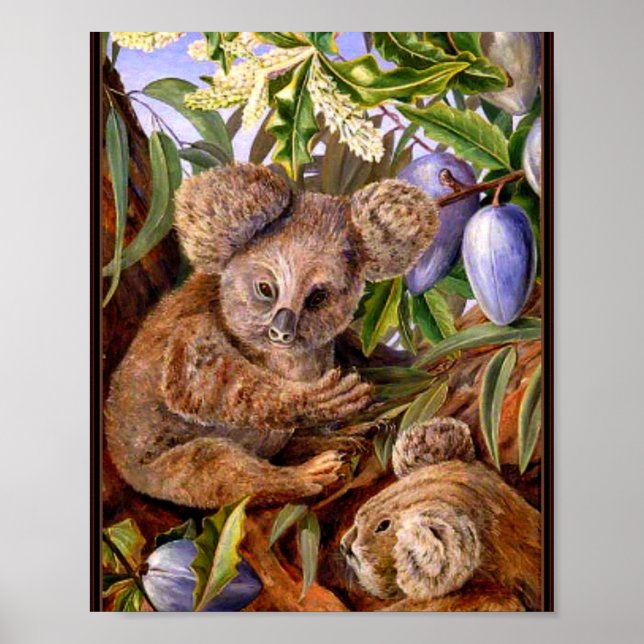 Marianne North - Australian Bears and Pears Poster (Framsidan)