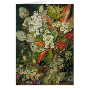 Marianne North Botanical Painting Hälsningskort