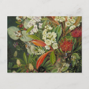 Marianne North Botanical Painting Vykort