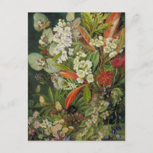 Marianne North Botanical Painting Vykort