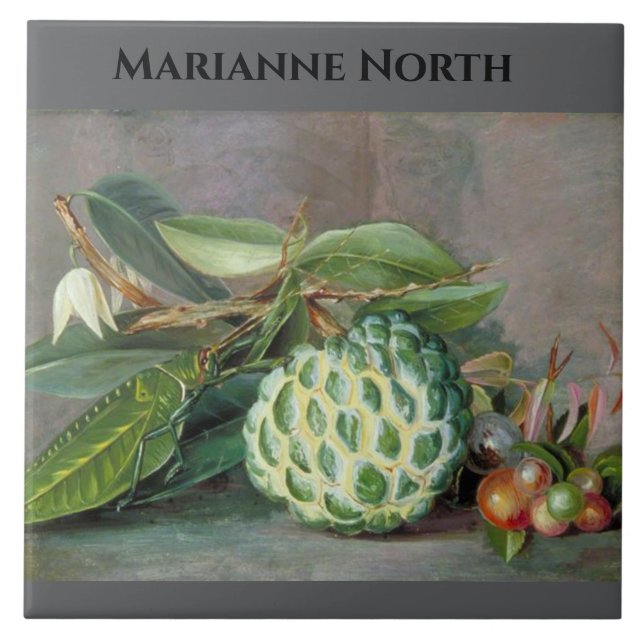 Marianne North Custard Apple Painting Kakelplatta (Framsidan)