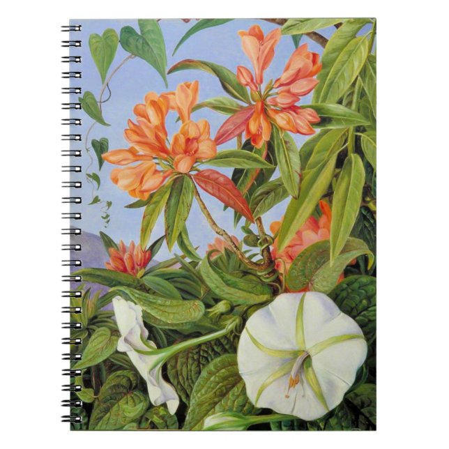 Marianne North - Javan Rhododendrum Anteckningsbok (Framsidan)