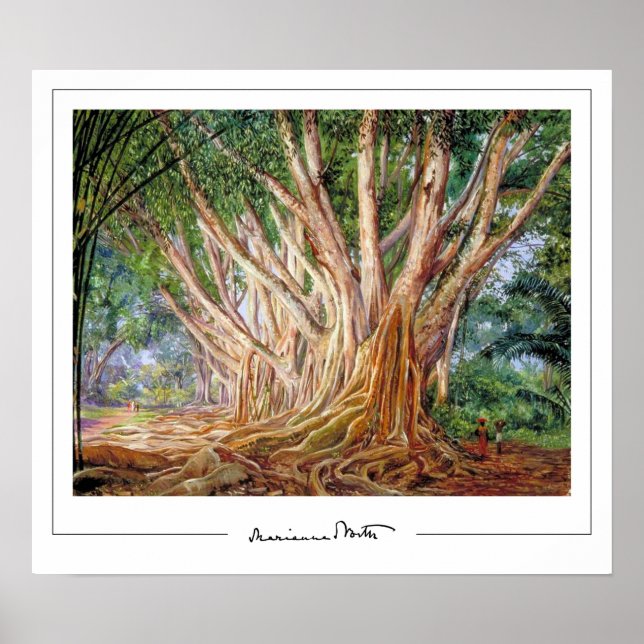 Marianne North Zedign Art Poster #5 (Framsidan)