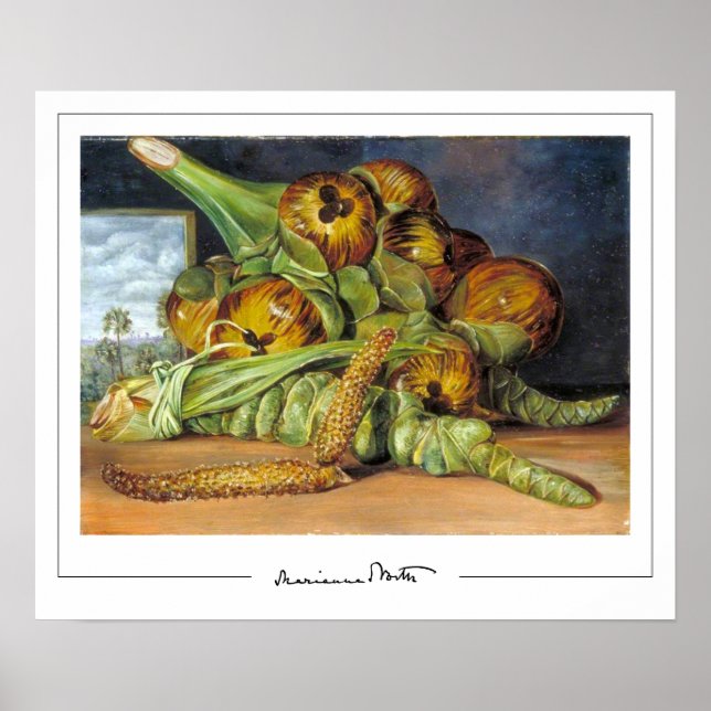 Marianne North Zedign Art Poster nr 52 (Framsidan)