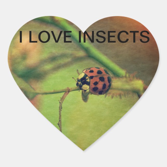 Marienkäfer Hjärtformat Klistermärke (Framsida)