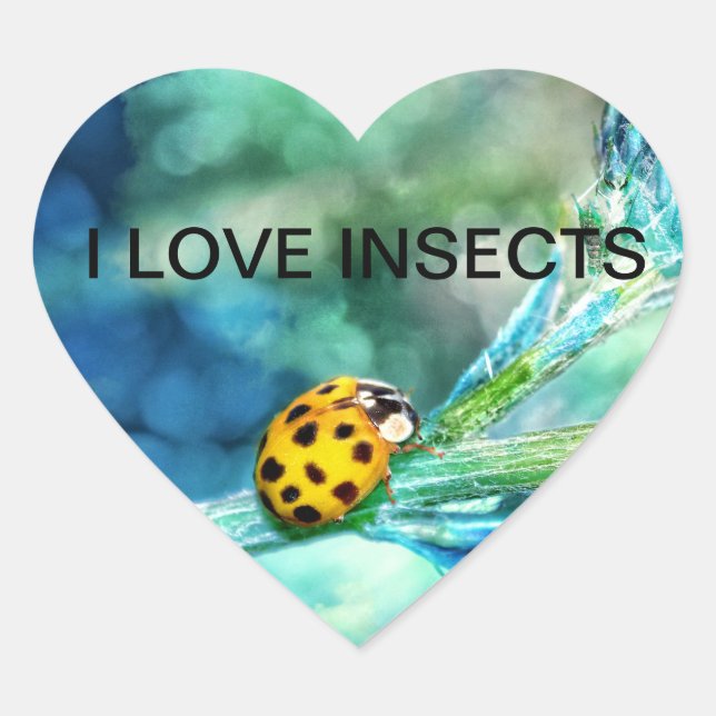 Marienkäfer Hjärtformat Klistermärke (Framsida)