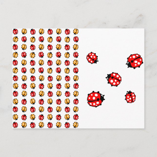 Marienkäfer Invasion Vykort (Framsida)