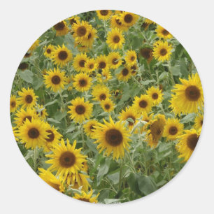 Marie's Sunwers Sticker Runt Klistermärke