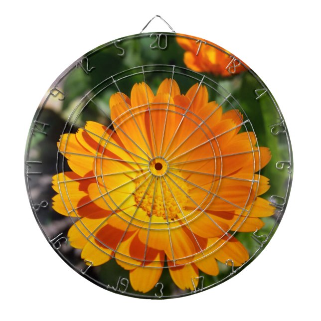 marigold blomma darttavla (Framsidan)