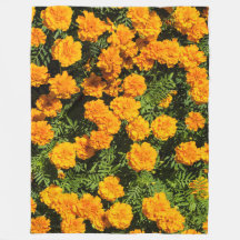 Marigold-blomma i blommar Fickecfilt