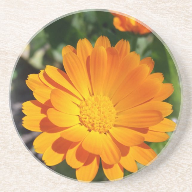 marigold blomma underlägg (Framsidan)