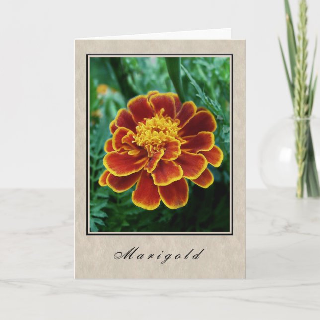 Marigold - Blommigt Series Kort (Framsida)