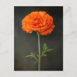 Marigold Botanical Painting Vykort