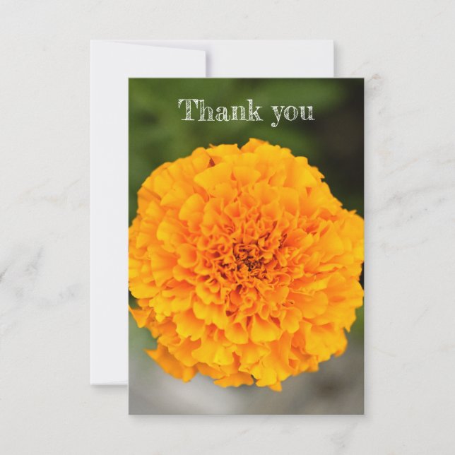Marigold Flat Thank You Card Tack Kort (Framsida)