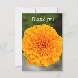 Marigold Flat Thank You Card Tack Kort
